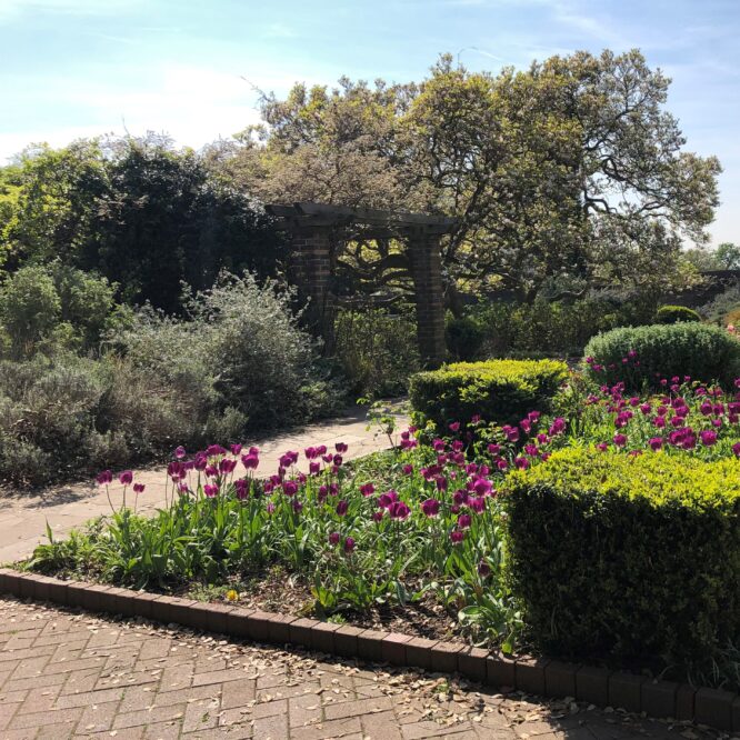 garden design