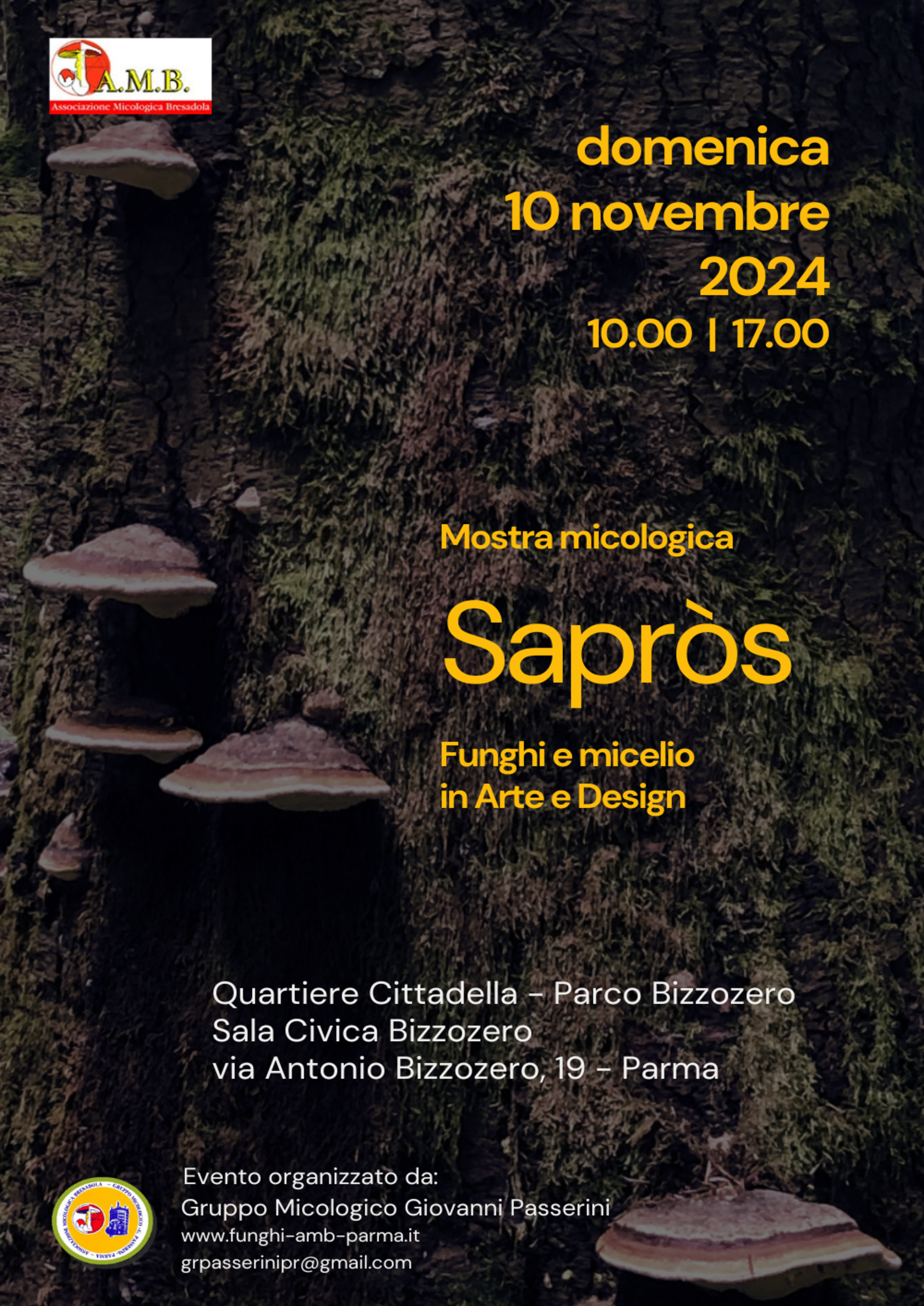 Sapròs - Mostra micologica - Parma, 10 novembre 2024 Sapros 18 ott 1